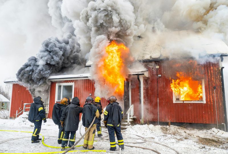 pexels-jani-kantokoski-2864880-25490577